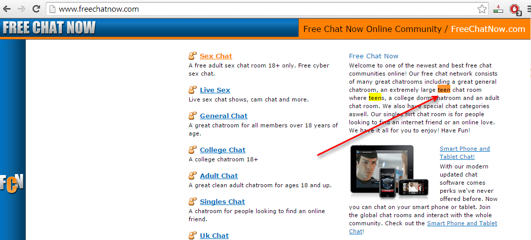 Cyber Sex Chat Room