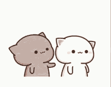 092E363B-B236-4353-AB68-7F672BE0C9AD.gif
