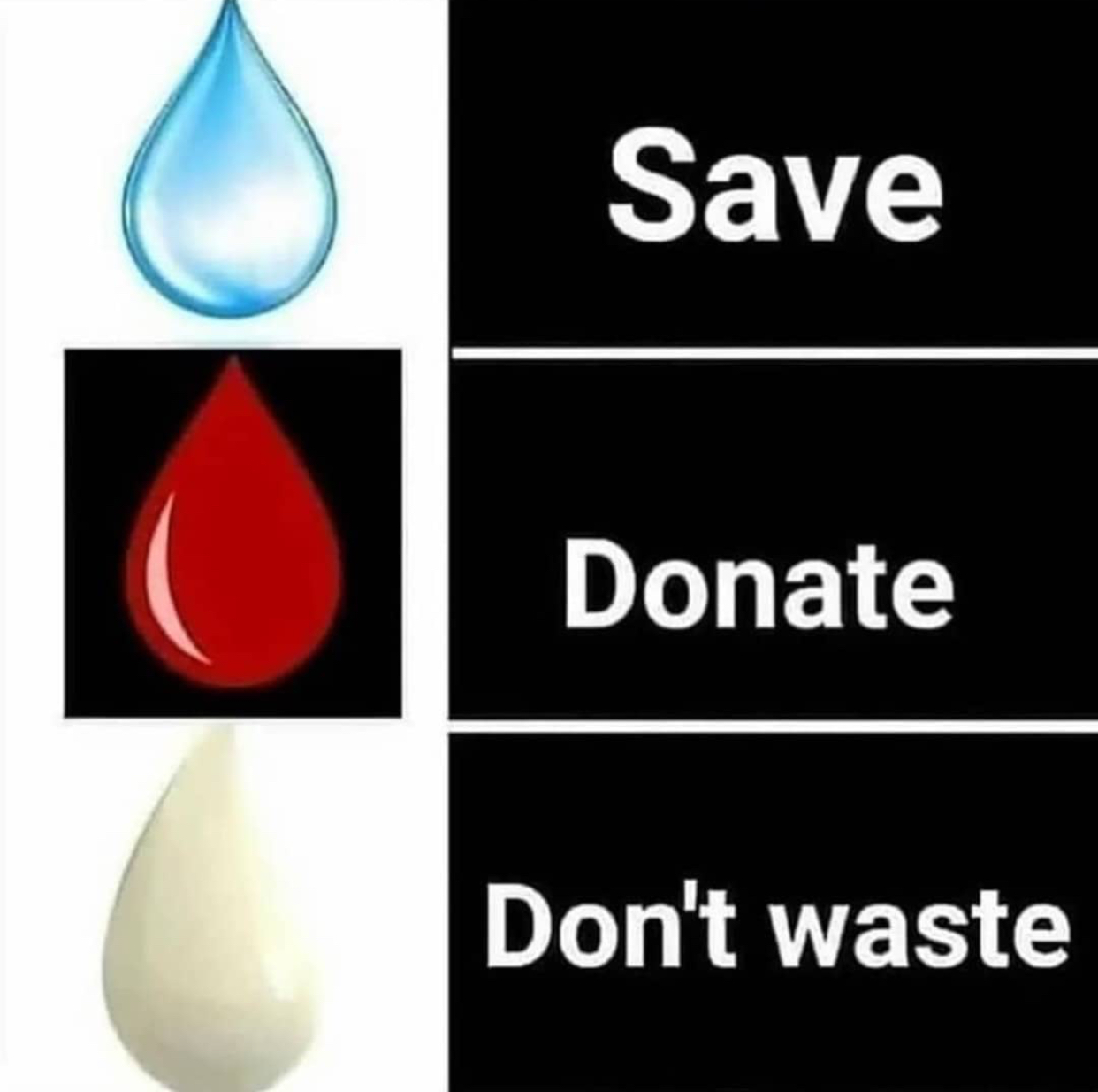 0BB0E223-8798-4C40-BAF3-B989867F02D1.jpeg