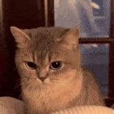 1000006586.gif