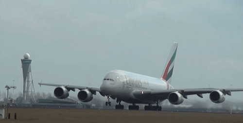 1000046784.gif