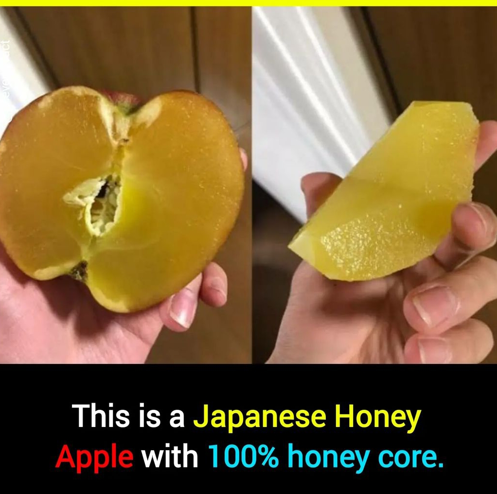 1000073205.jpg