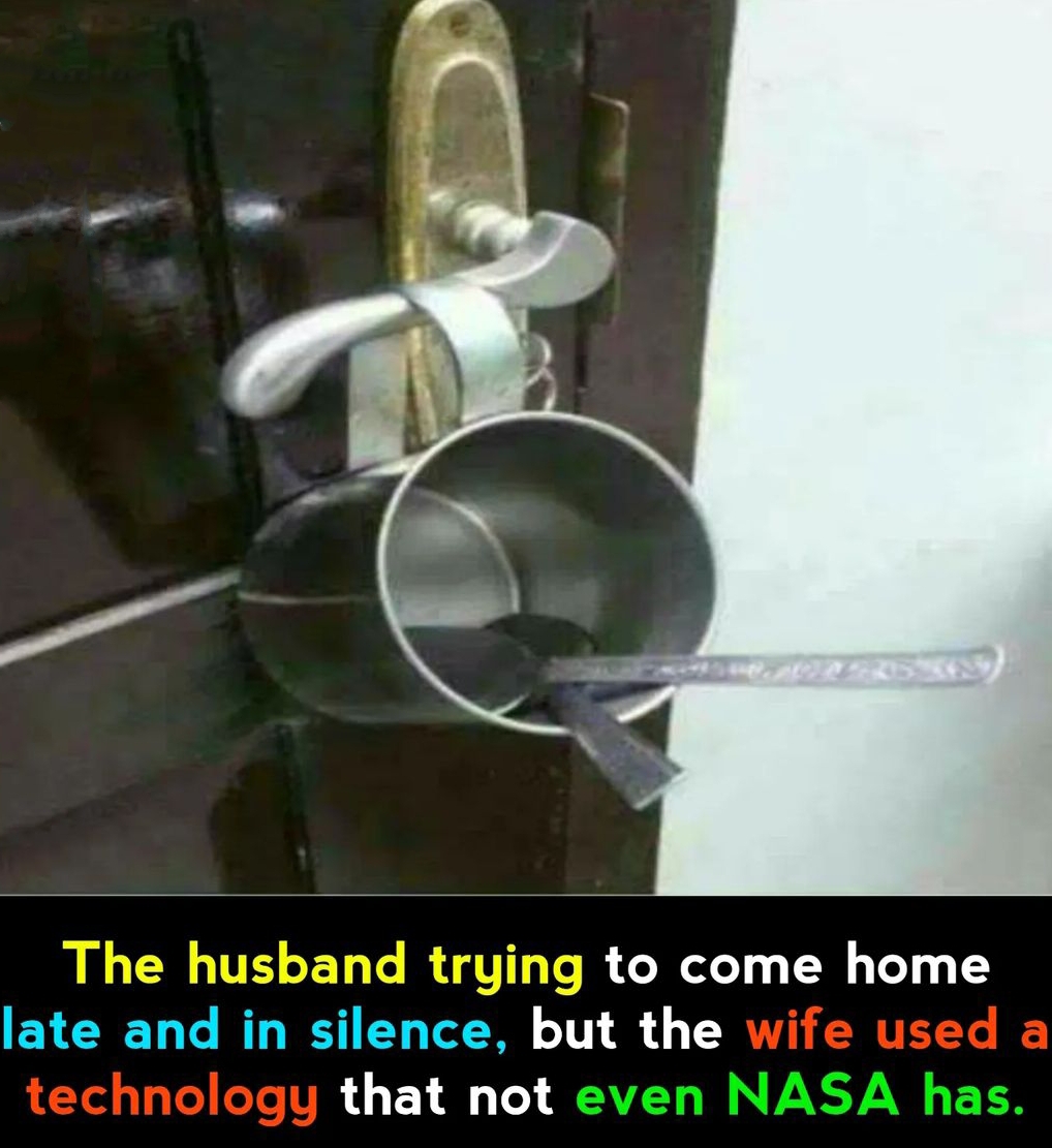 1000073250.jpg
