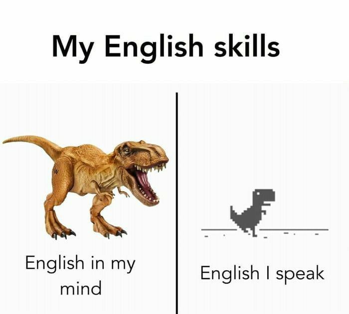 1000135325.jpg