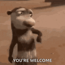 1000170495.gif