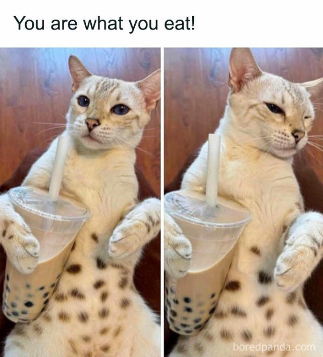 115b8d877539af6f527baf452e06b7cd.jpeg