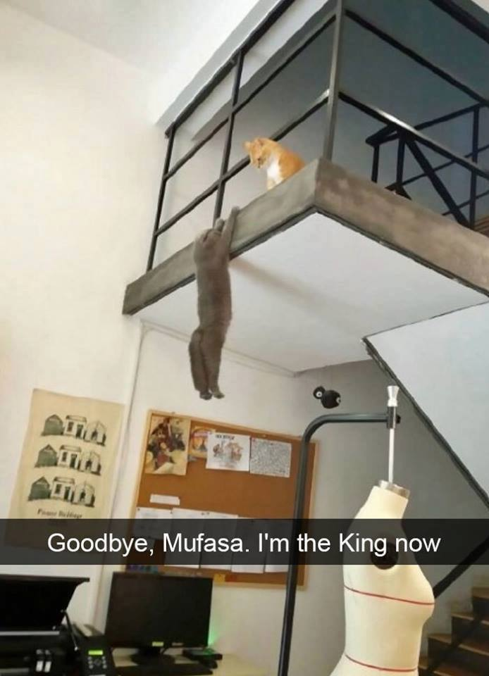 1514955449239.png