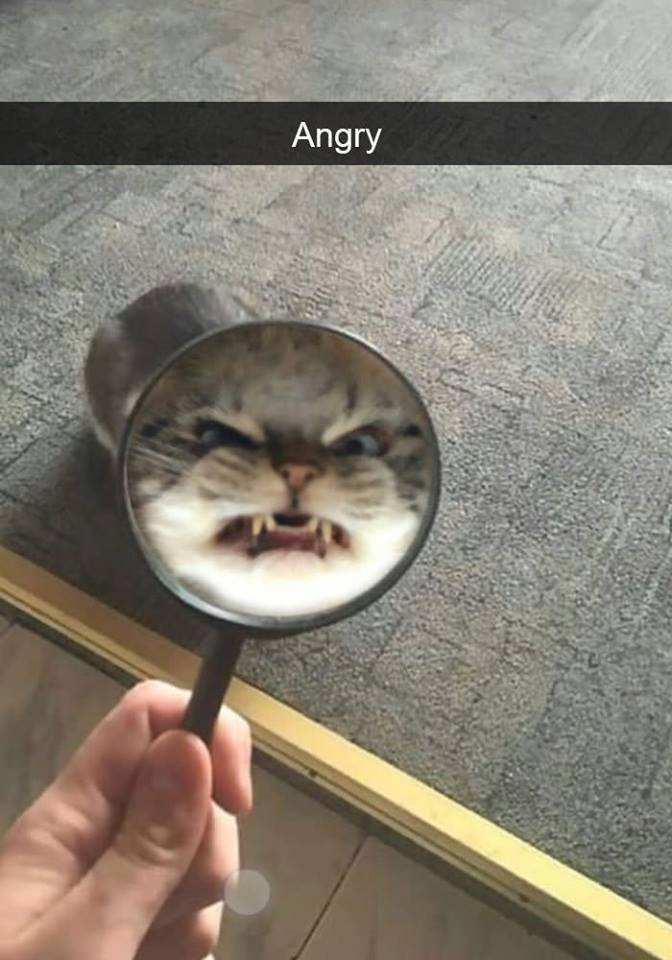 1514955677196.png