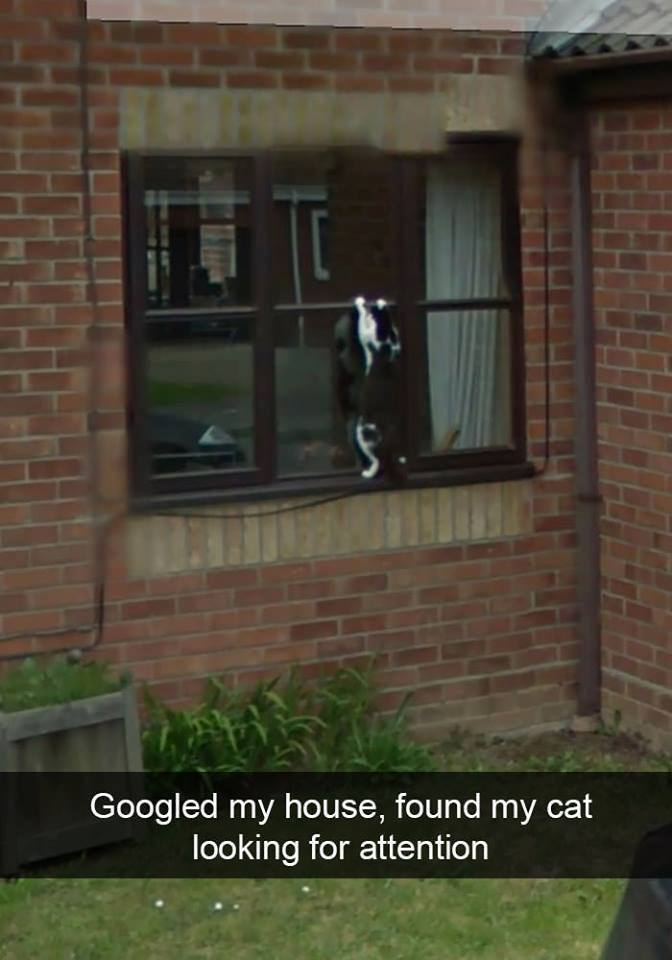 1514955725073.png