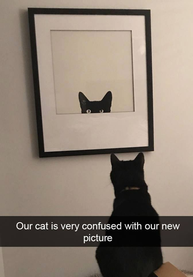 1514955737393.png