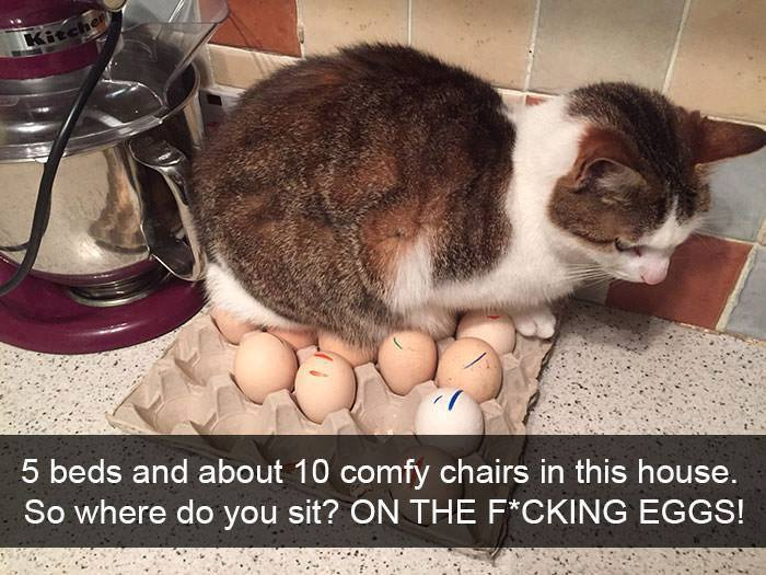 1514955753046.png