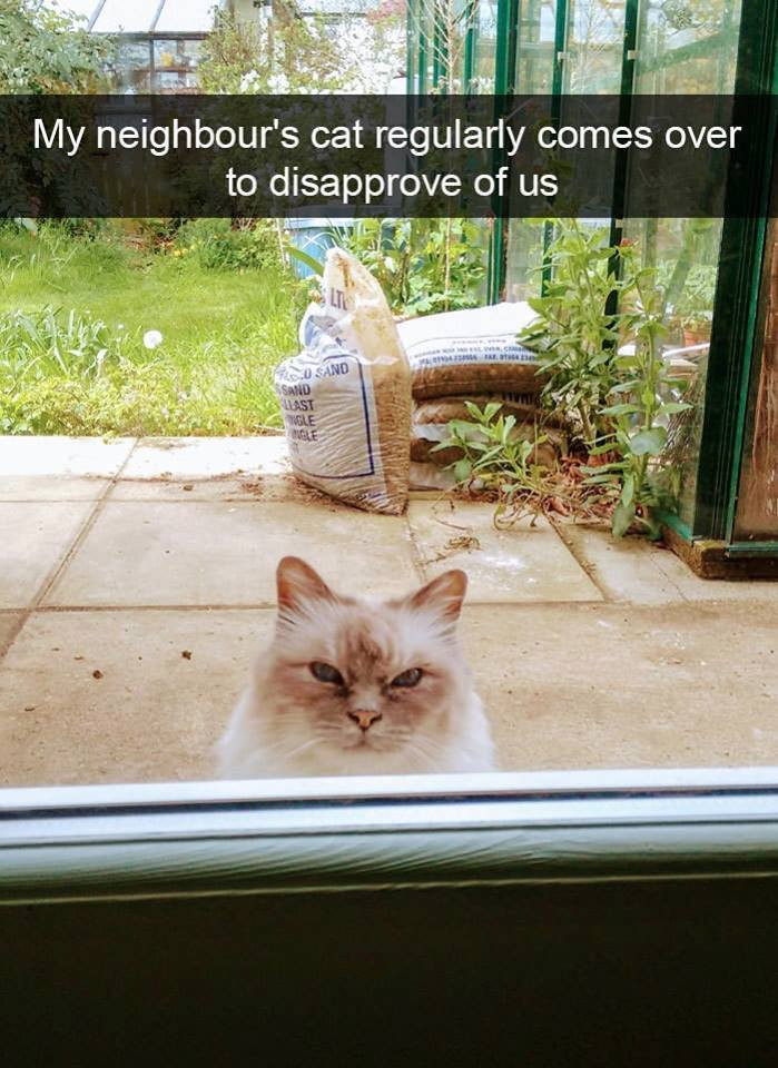 1514955776949.png