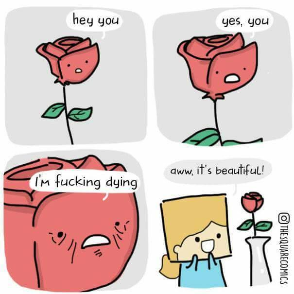 1514956129349.png