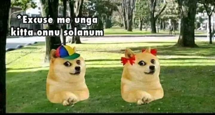 1678610427092.jpg