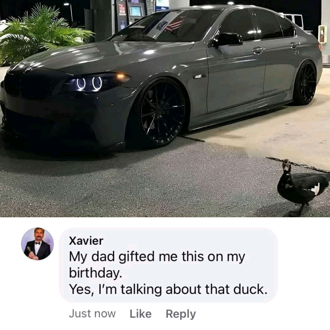 1697006141471.jpg