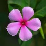 1712207560794.png