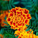 1712209999947.png