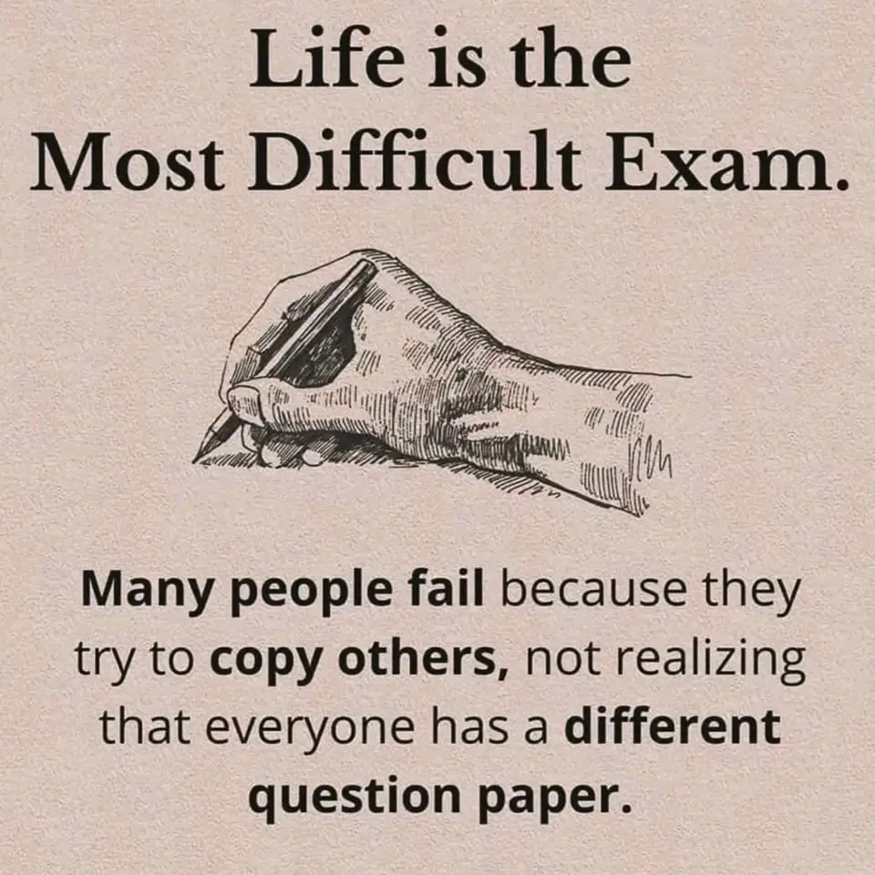 1733673228354.jpg