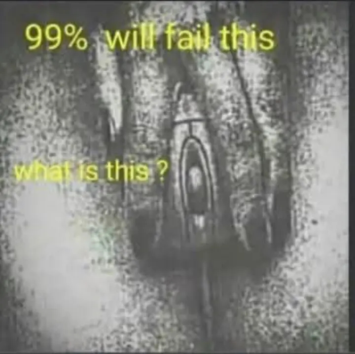 1741177606884.jpg