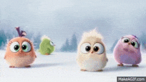 20230615_070949.gif