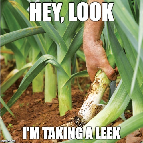 2rtieu.jpg