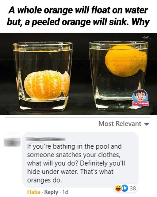 329400212_9006877996003848_21066731362101891_n.jpg