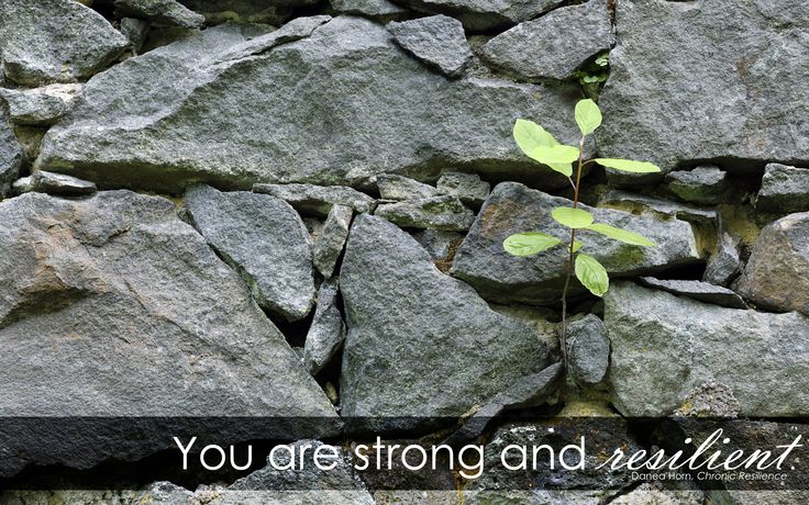 66e9c0e806865cfdedacd4bfd90f8519--nature-desktop-wallpaper-widescreen-wallpaper.jpg