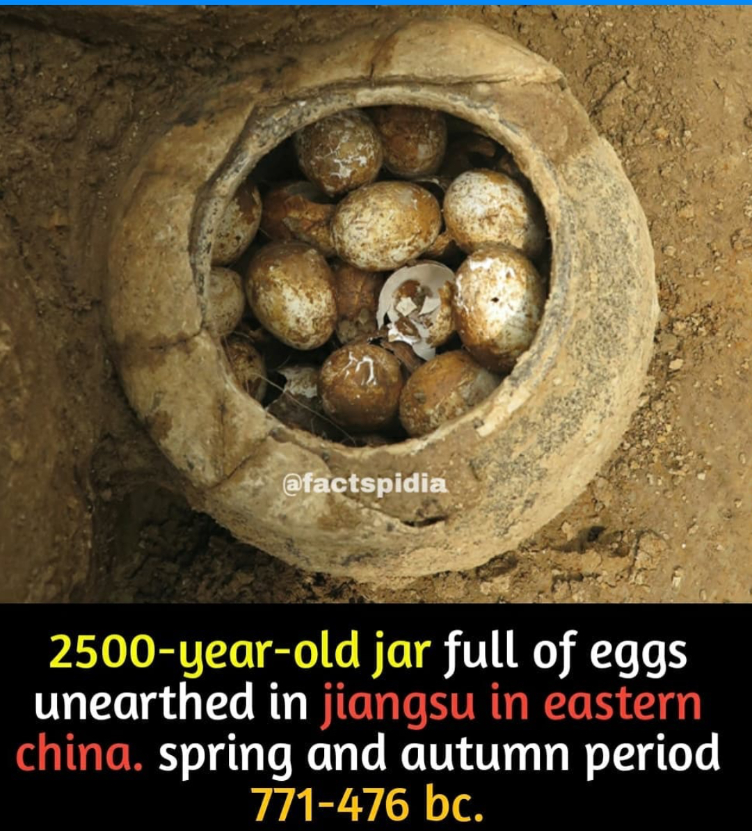 6736E7C3-29EB-4B7B-A670-9E8815F1B097.jpeg