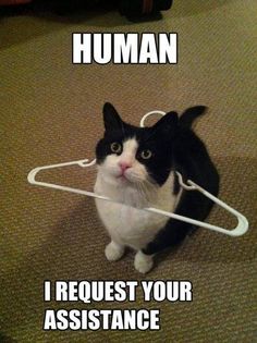 7648750b75468a0b9af10f89377babb8.jpg