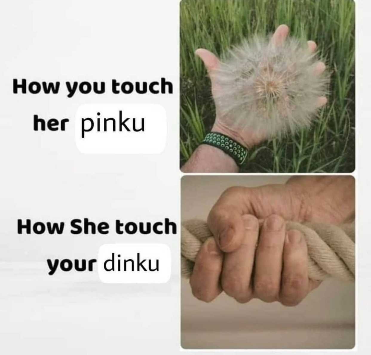 773E6686-B8A2-4C34-8533-7EE4D79F7DD2.jpeg