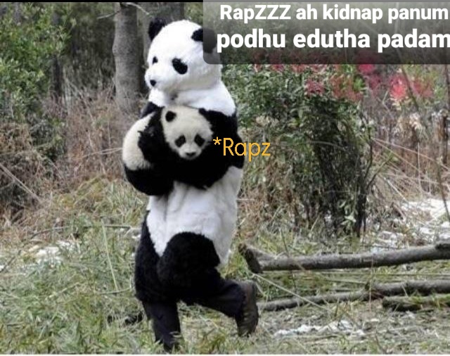 866895024-Funny-Panda-Kidnapping.jpg