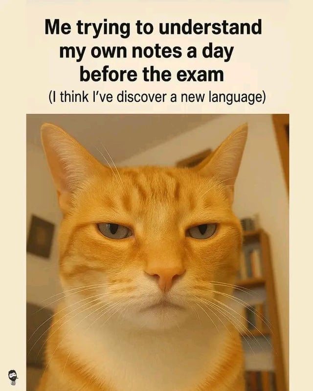 a-day-before-exam-funny-memes-v0-m7vkz6a2zeyf1.jpeg