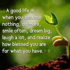 A GOOD LIFE.jpg