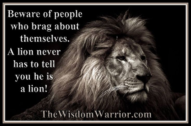 A lion never has to tell you he is a lion – Bohdi Sanders.jpeg