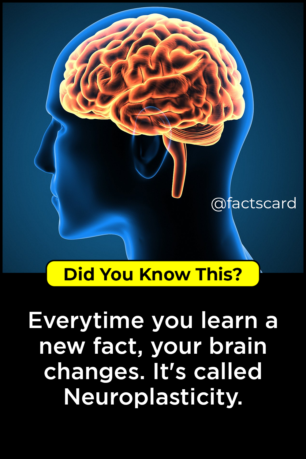 b399b48f318d8fc478a6ba39cfc893c4.png