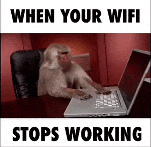 babboon.gif