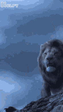 ber-ainc.gif