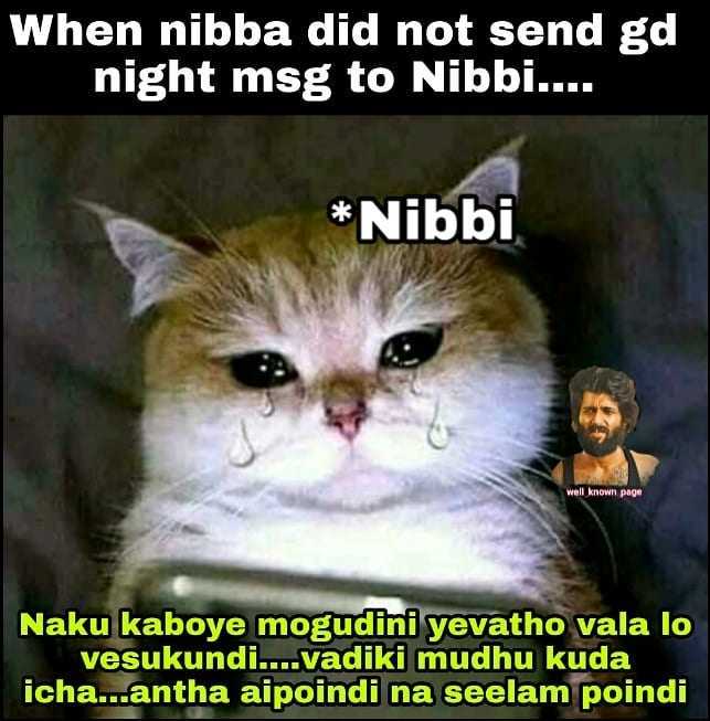 bnn3.jpg