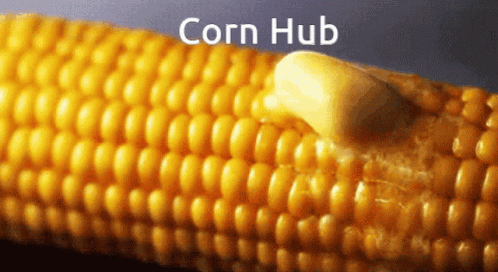 corn-corn-hub.gif