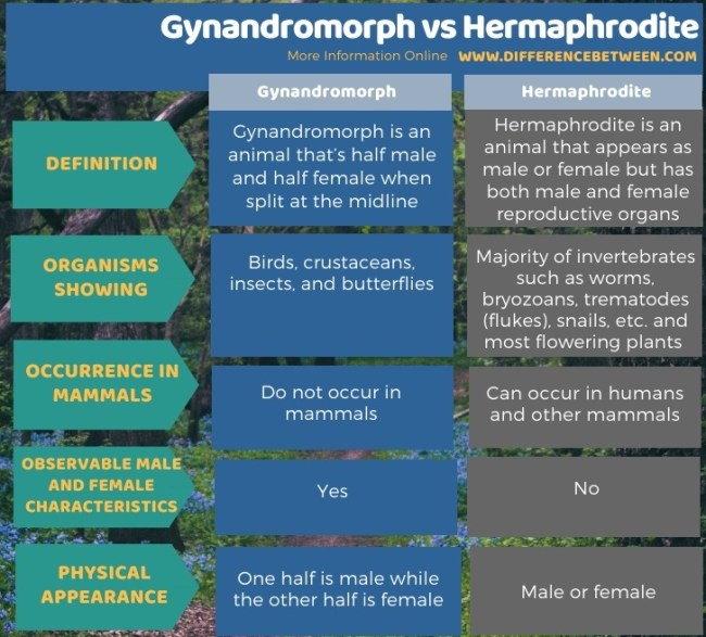 Difference-Between-Gynandromorph-and-Hermaphrodite-Tabular-Form.jpg