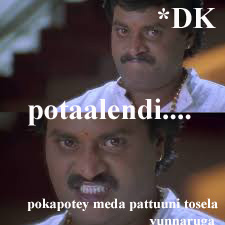 dk11 copy.jpg