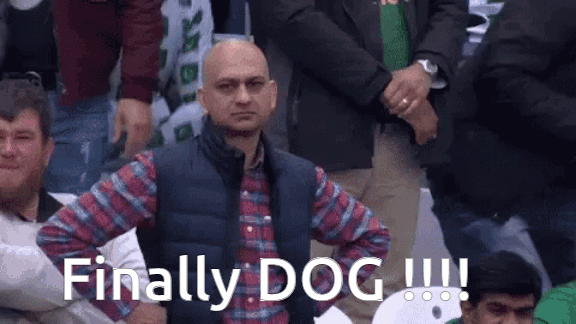 dog reaction.gif