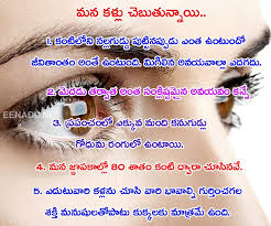 download (47).jpeg
