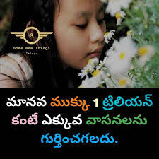 download (49).jpeg