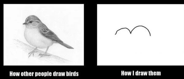 drawing-bird-meme.jpg.jpg