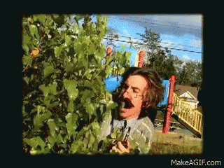 eating-leaves-hungry.gif