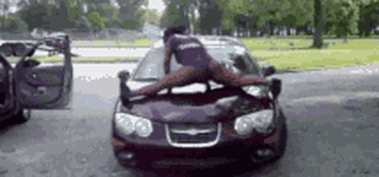 EquatorialNegligibleEyas-size_restricted.gif