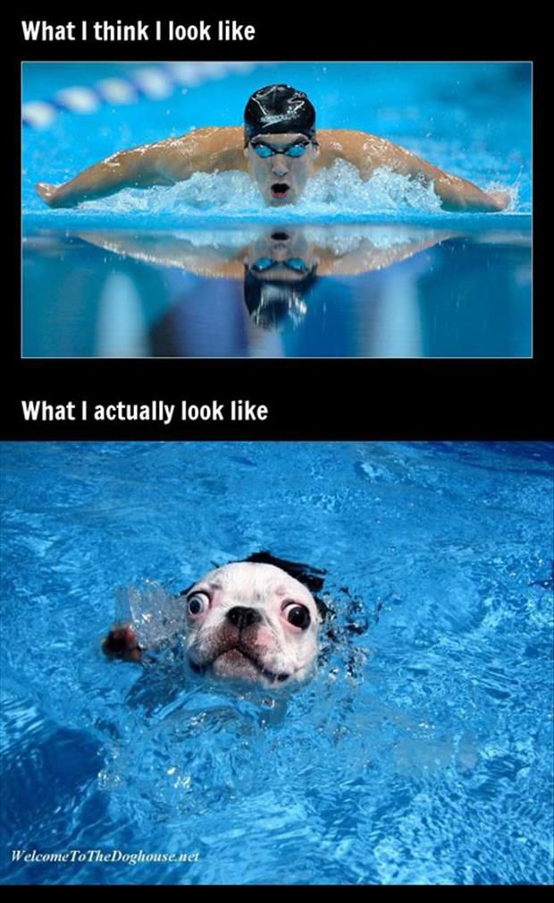 expectations-vs-reality-meme-swimming-5852d6635f9b586e02d3c6e1.jpg