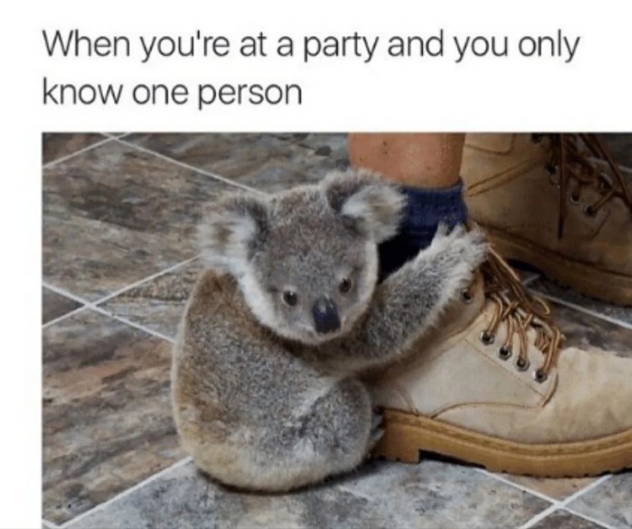 F6o9EOoWYAA14eC.jpeg