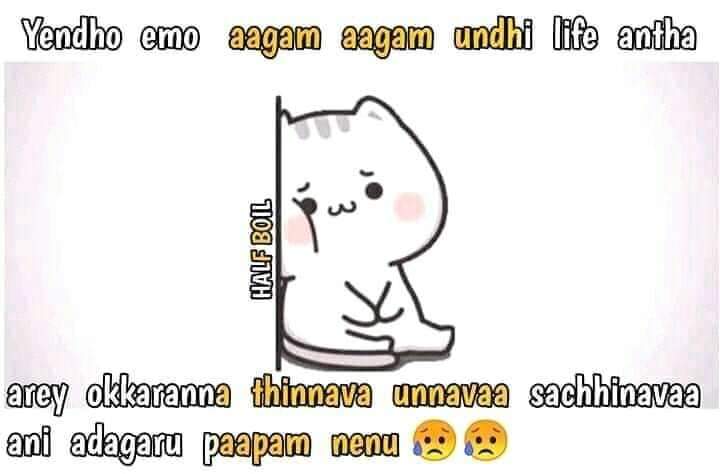 FB_IMG_1594598258555.jpg